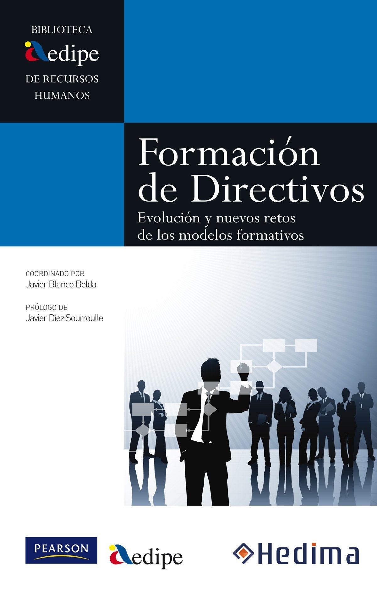 Formación de directivos (Biblioteca AEDIPE)