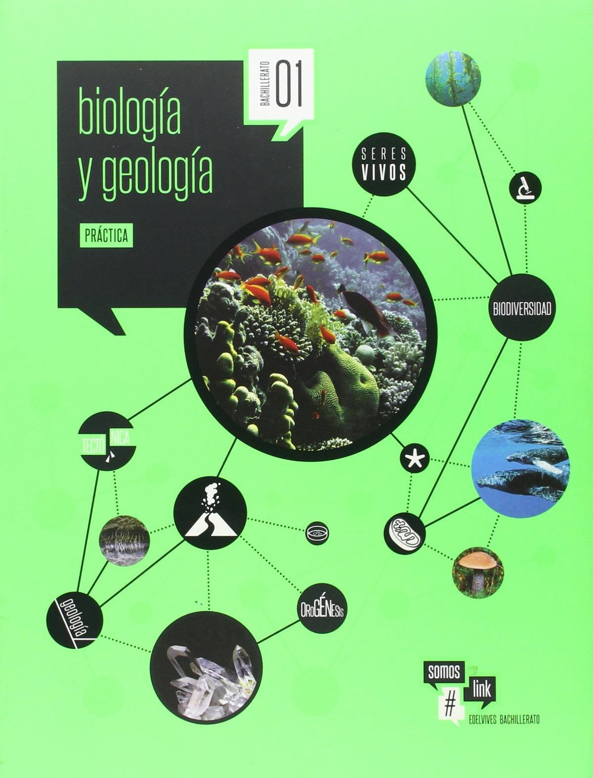 Bach 1 - Biologia Y Geologia - Practica - #somoslink - 9788426399366