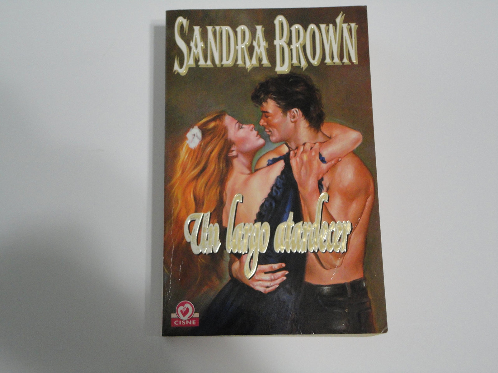 Un largo atardecer / Sunset Embrace (Saga de la Familia Coleman / Coleman Family Saga)