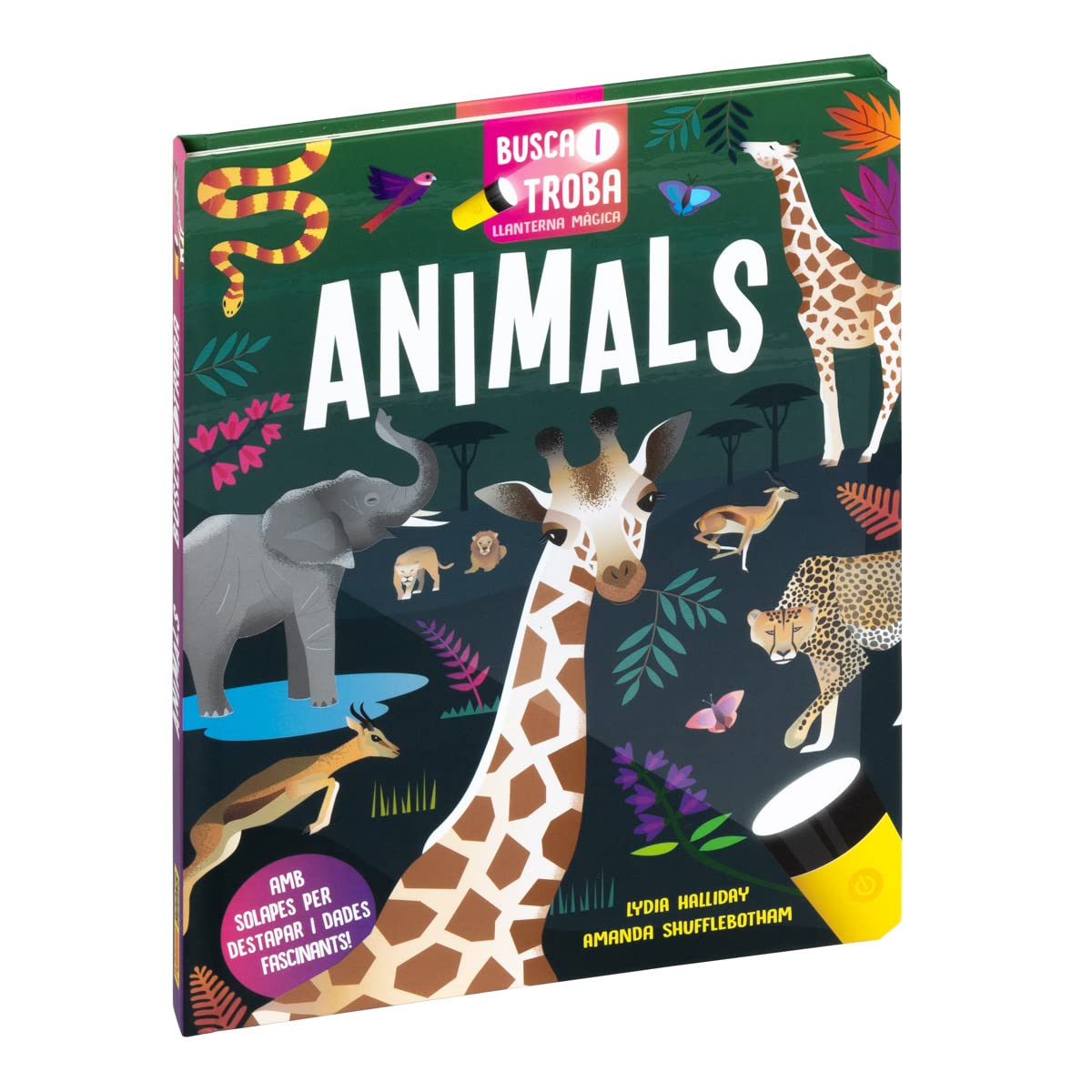 animals (BUSCA I TROBA LLANTERNA MÀGICA)