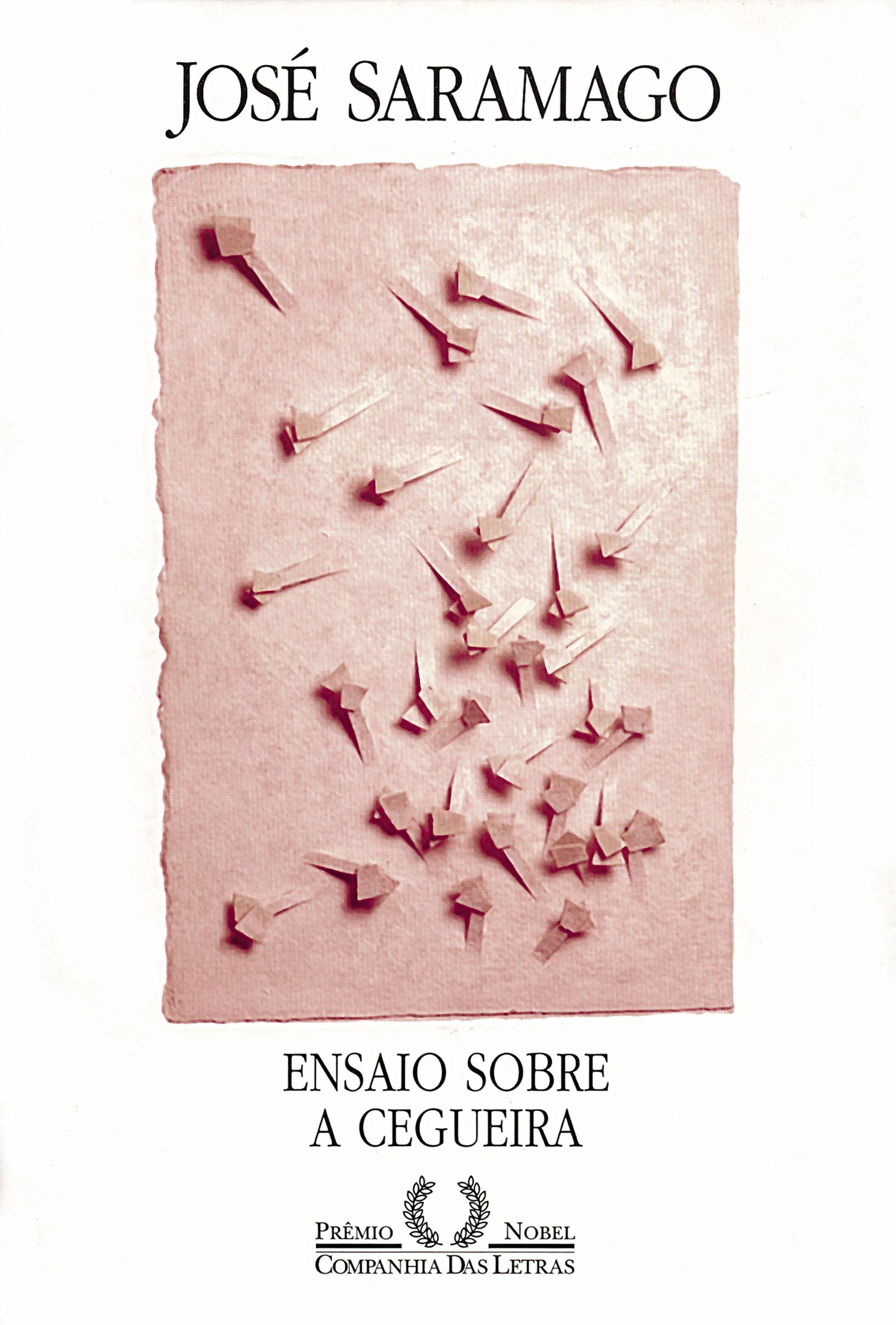 ENSAIO SOBRE A CEGUEIRA (Em Portuguese do Brasil)