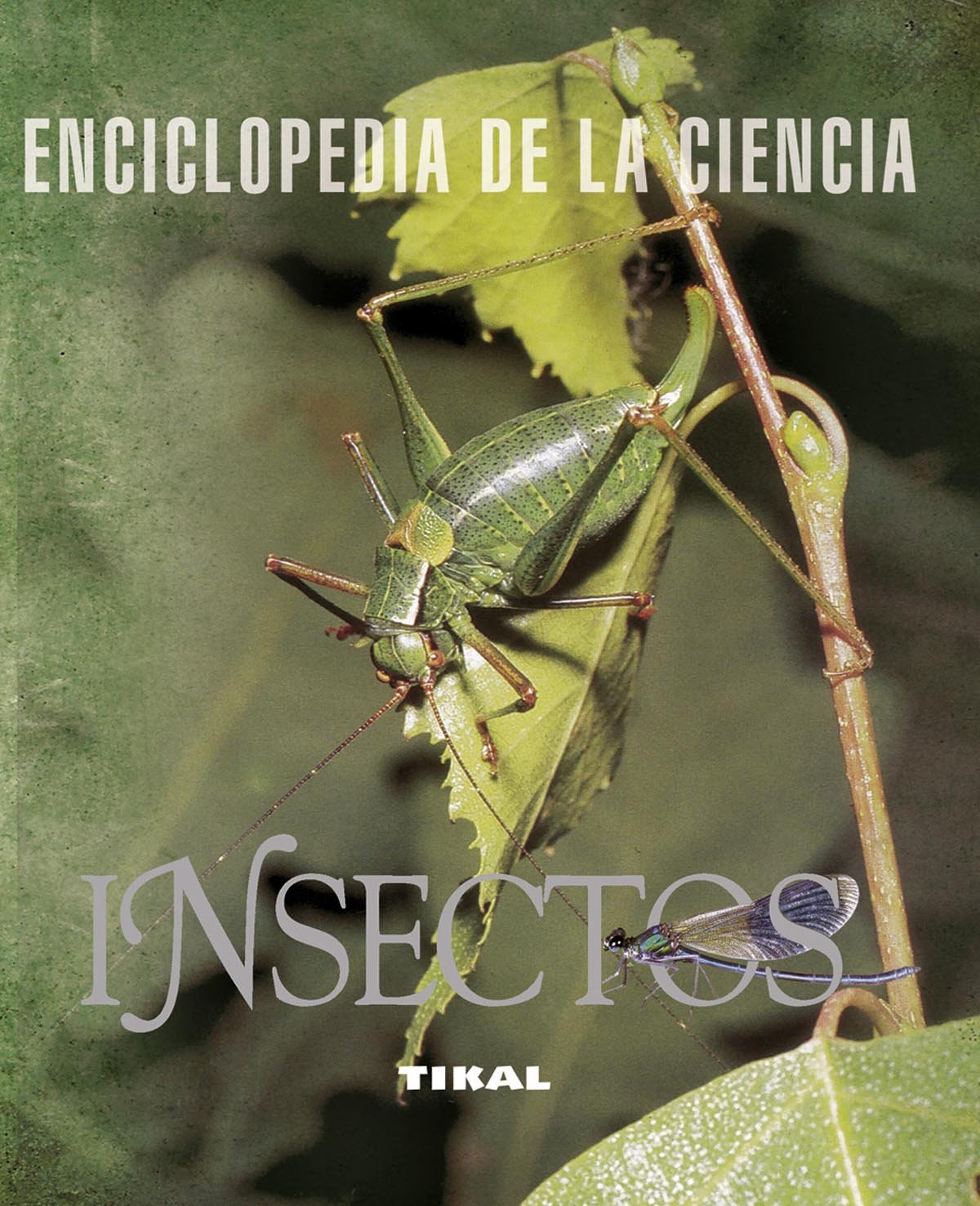 Insectos