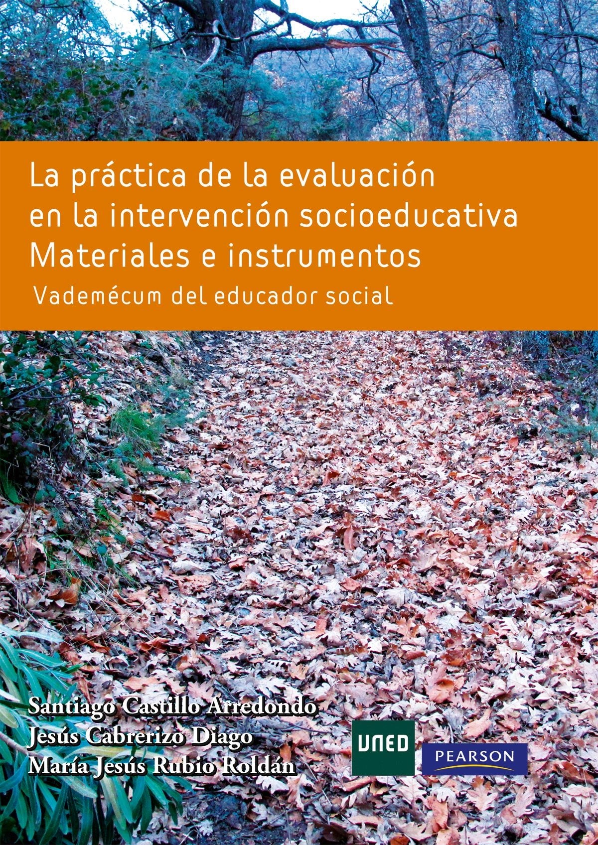 LA PRÁCTICA DE LA EVALUACIÓN EN LA INTERV. SOCIOED: Materiales e instrumentos. Vademécum del educador social