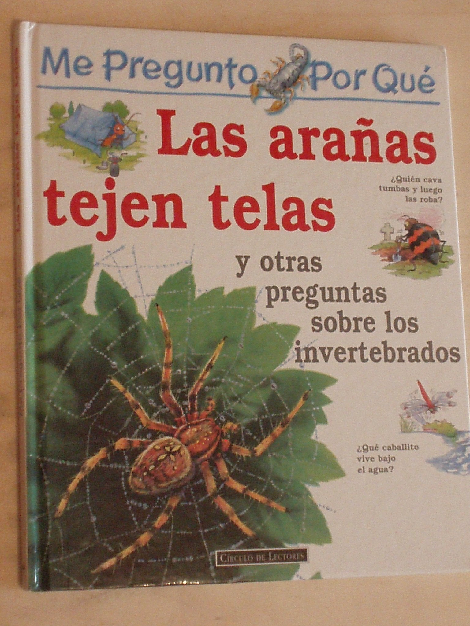 Me pregunto por qué: Las arañas tejen telas y otras preguntas sobre los invertebrados