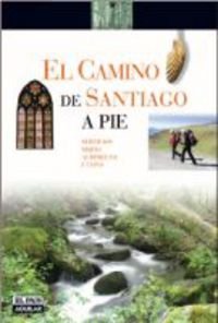 CAMINO DE SANTIAGO A PIE (SIN COLECCION)