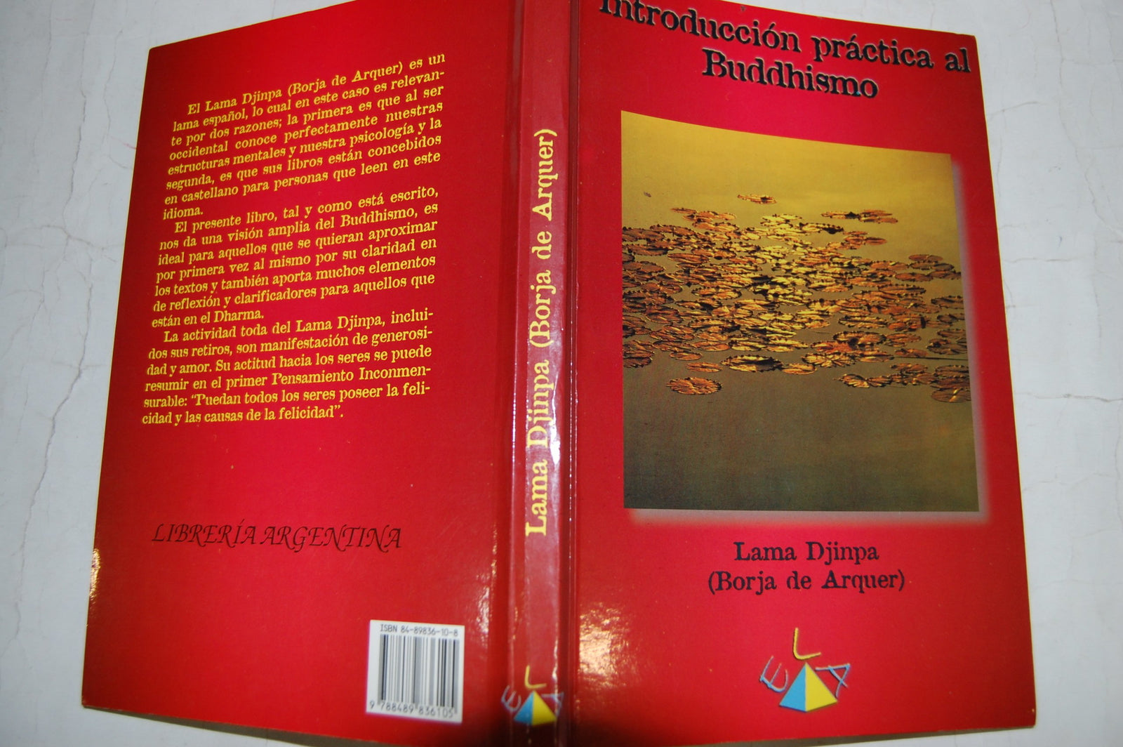 INTRODUCCION PRACTICA AL BUDDHISMO (SIN COLECCION)