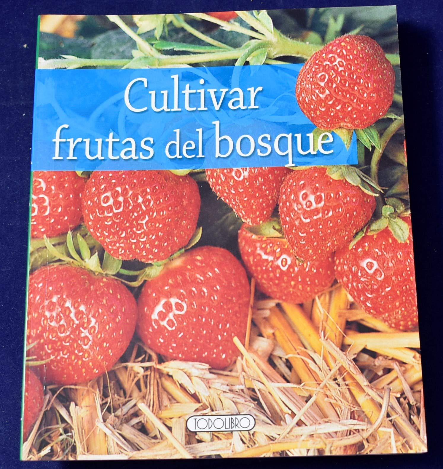Cultivar frutas del bosque