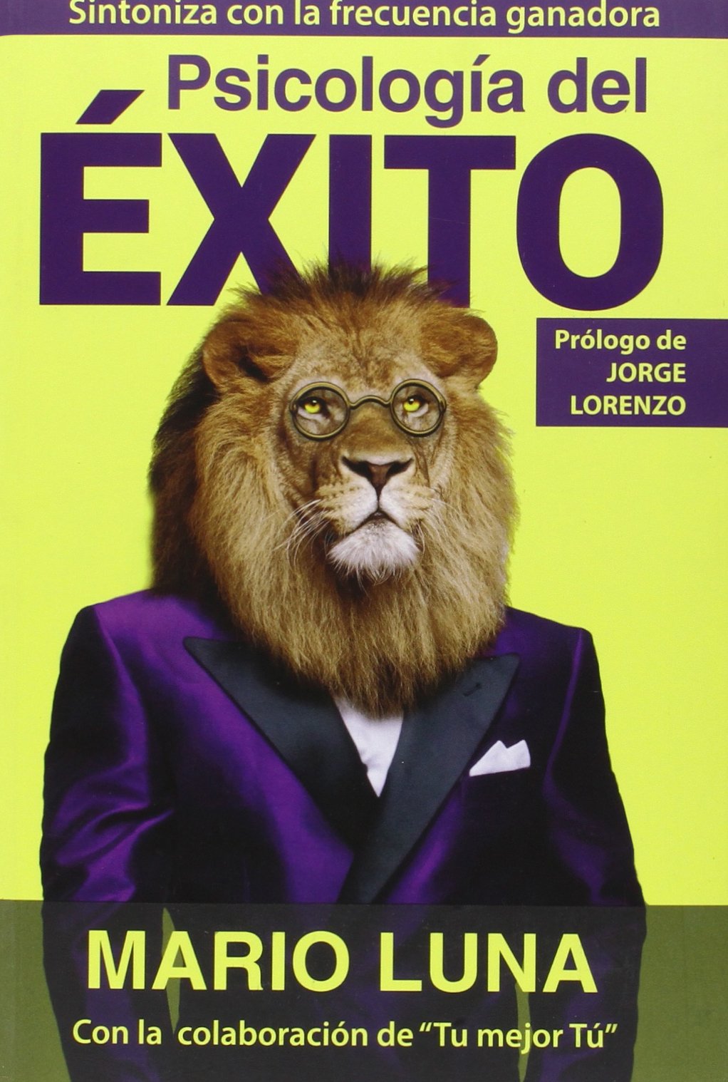 Psicología Del Éxito (Dinámicas sociales) Español