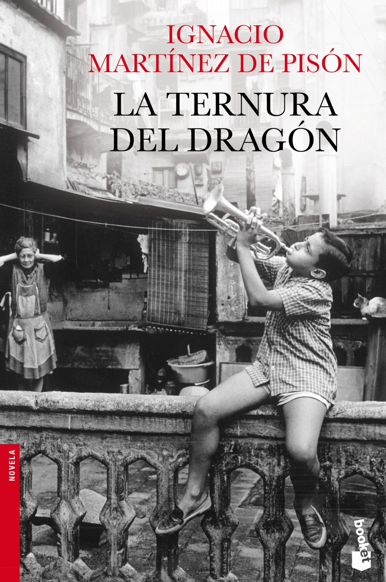 La ternura del dragón (Novela)