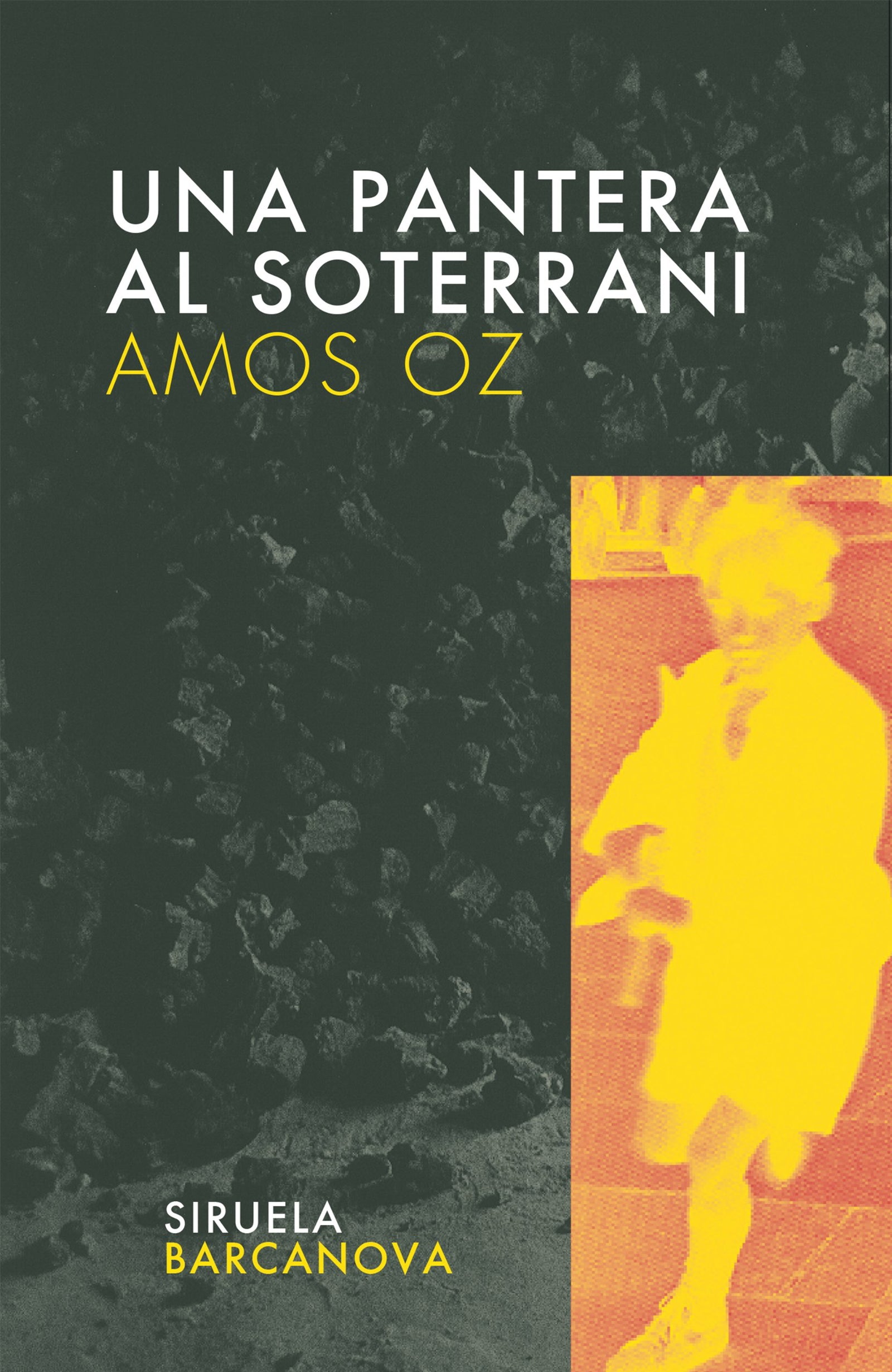Una pantera al soterrani (Ediciones en catalán / Las Tres Edats)
