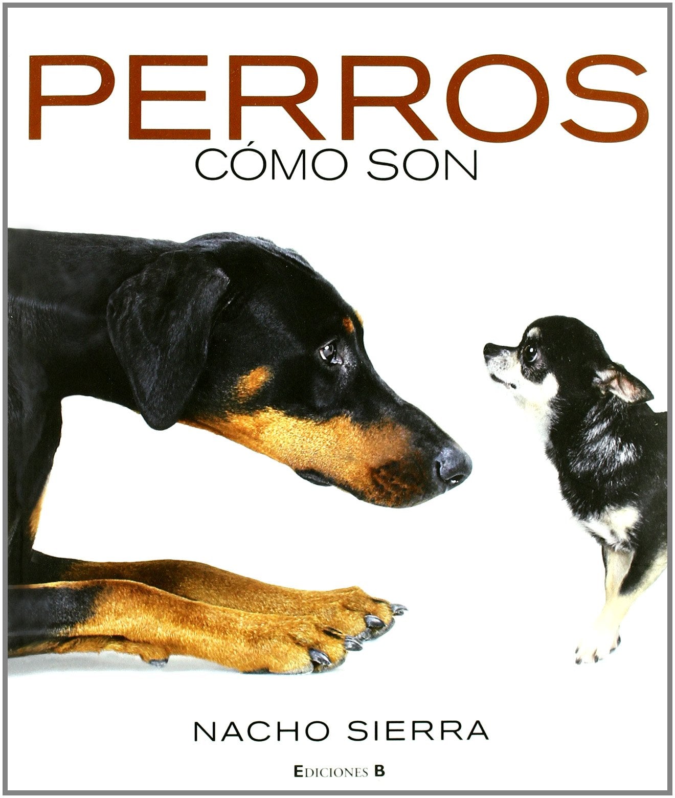 PERROS. COMO SON: 00000 (LIBROS ILUSTRADOS AD)