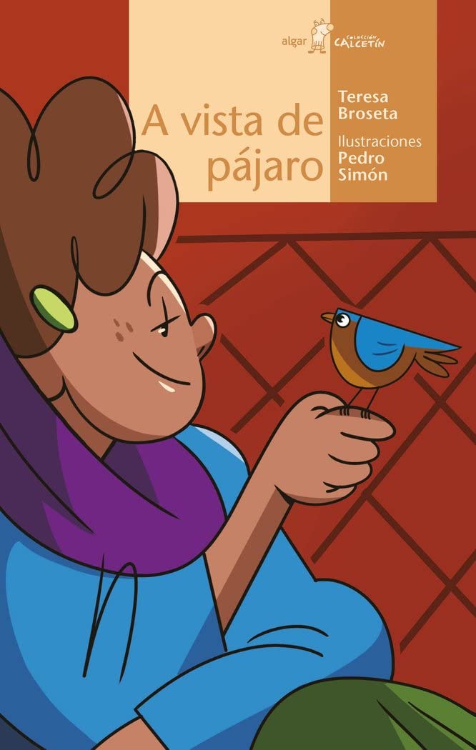 A vista de pájaro