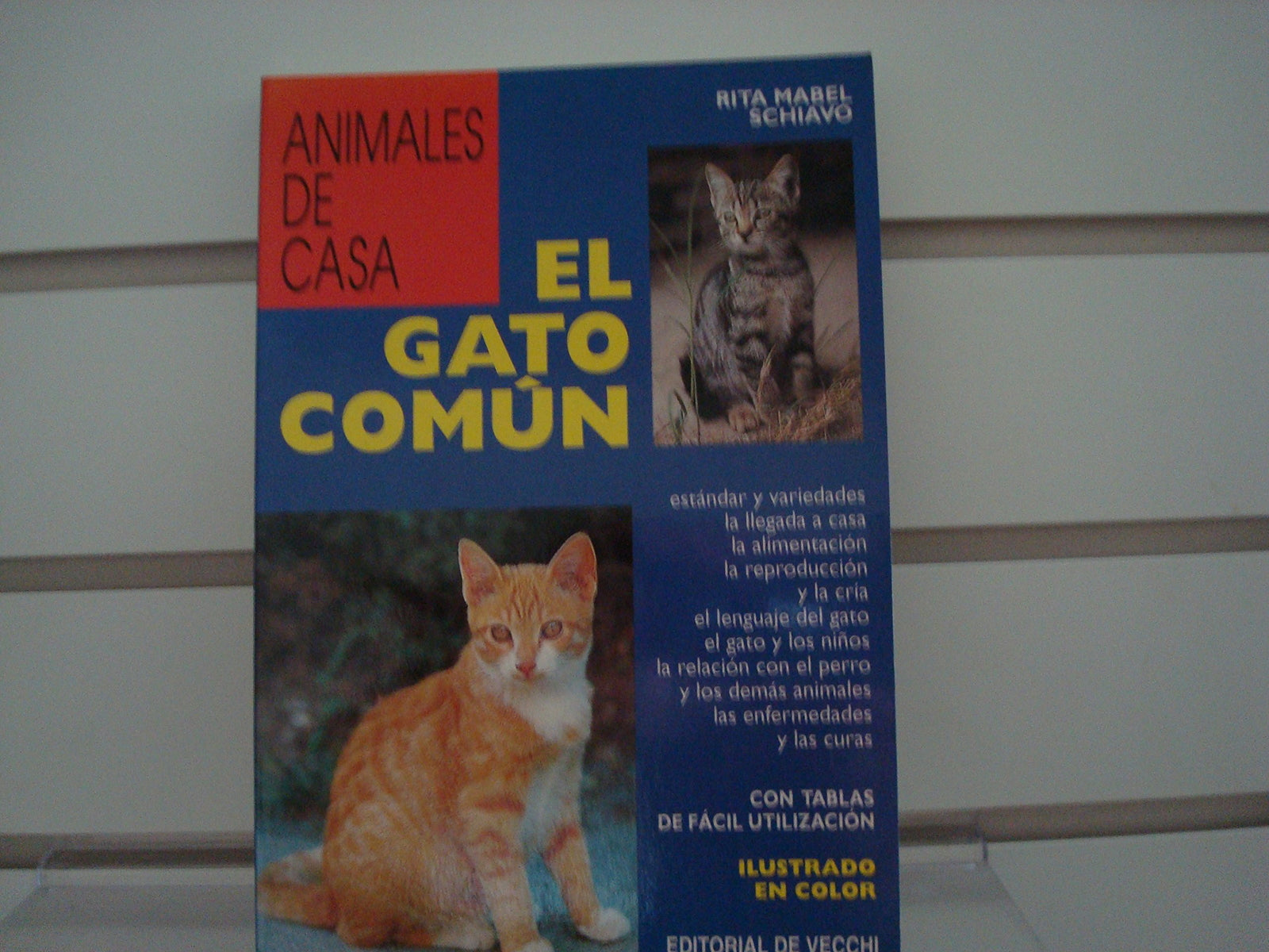 El gato comun