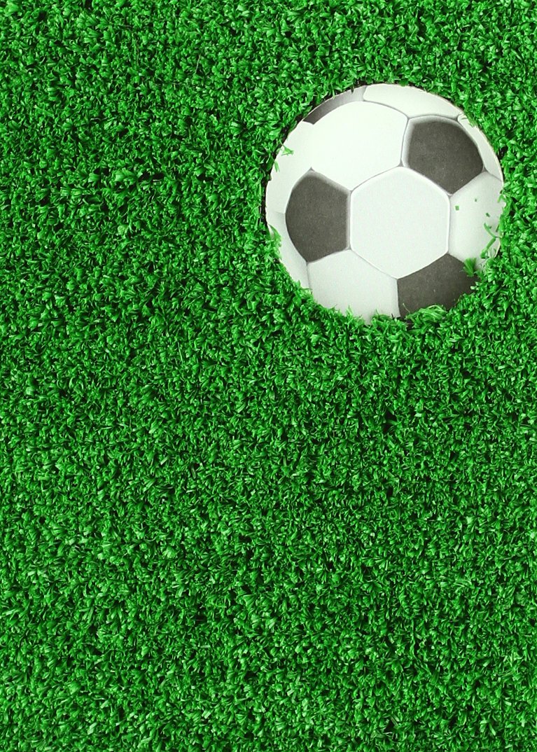 Bojos Pel Futbol!