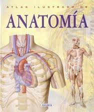 ATLAS DE ANATOMIA (SIN COLECCION)