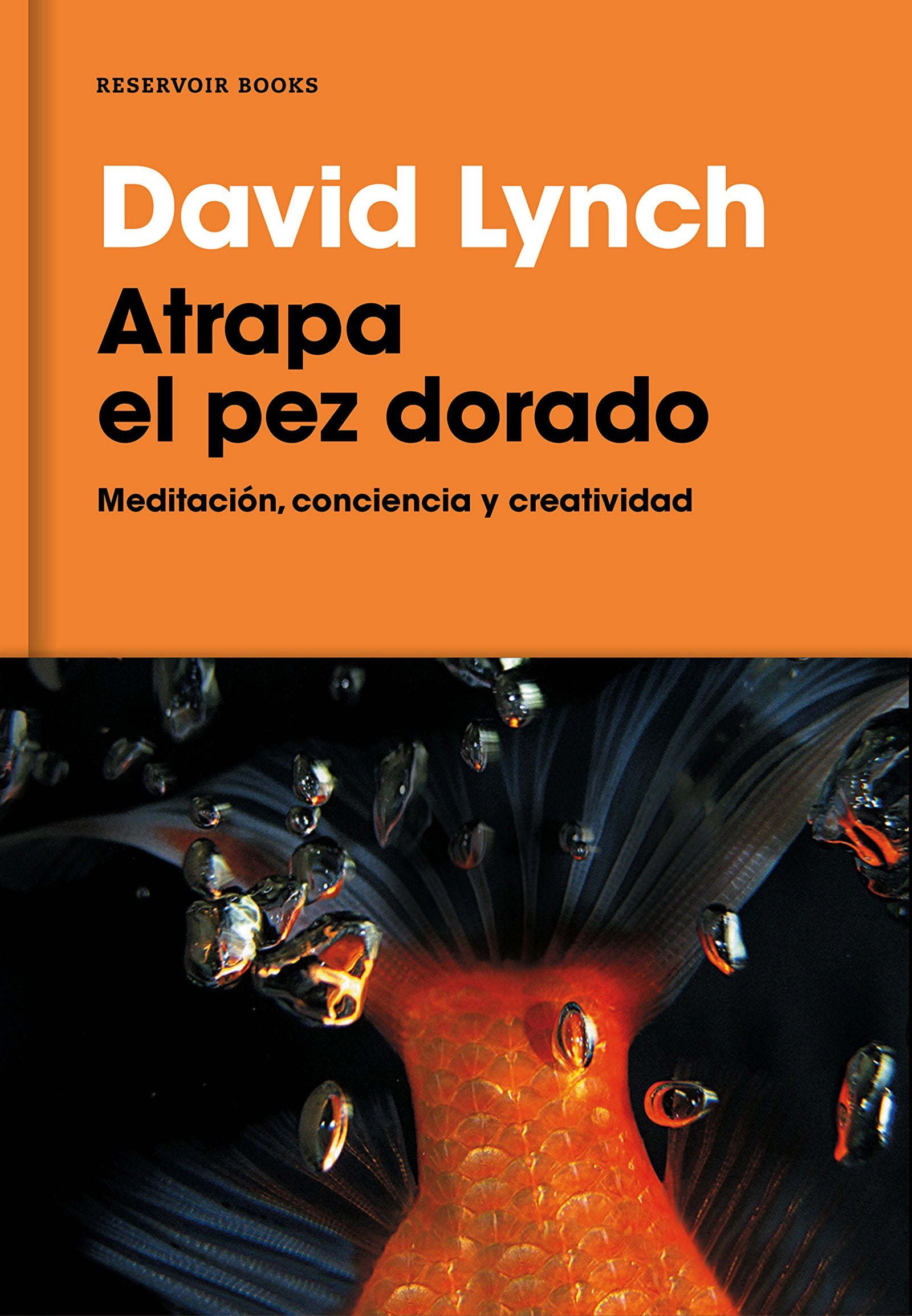 Atrapa el pez dorado: Meditación, conciencia y creatividad (Reservoir Narrativa)