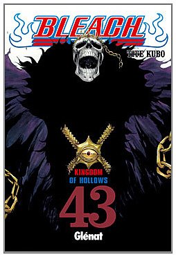 Bleach 43 (Shonen Manga)