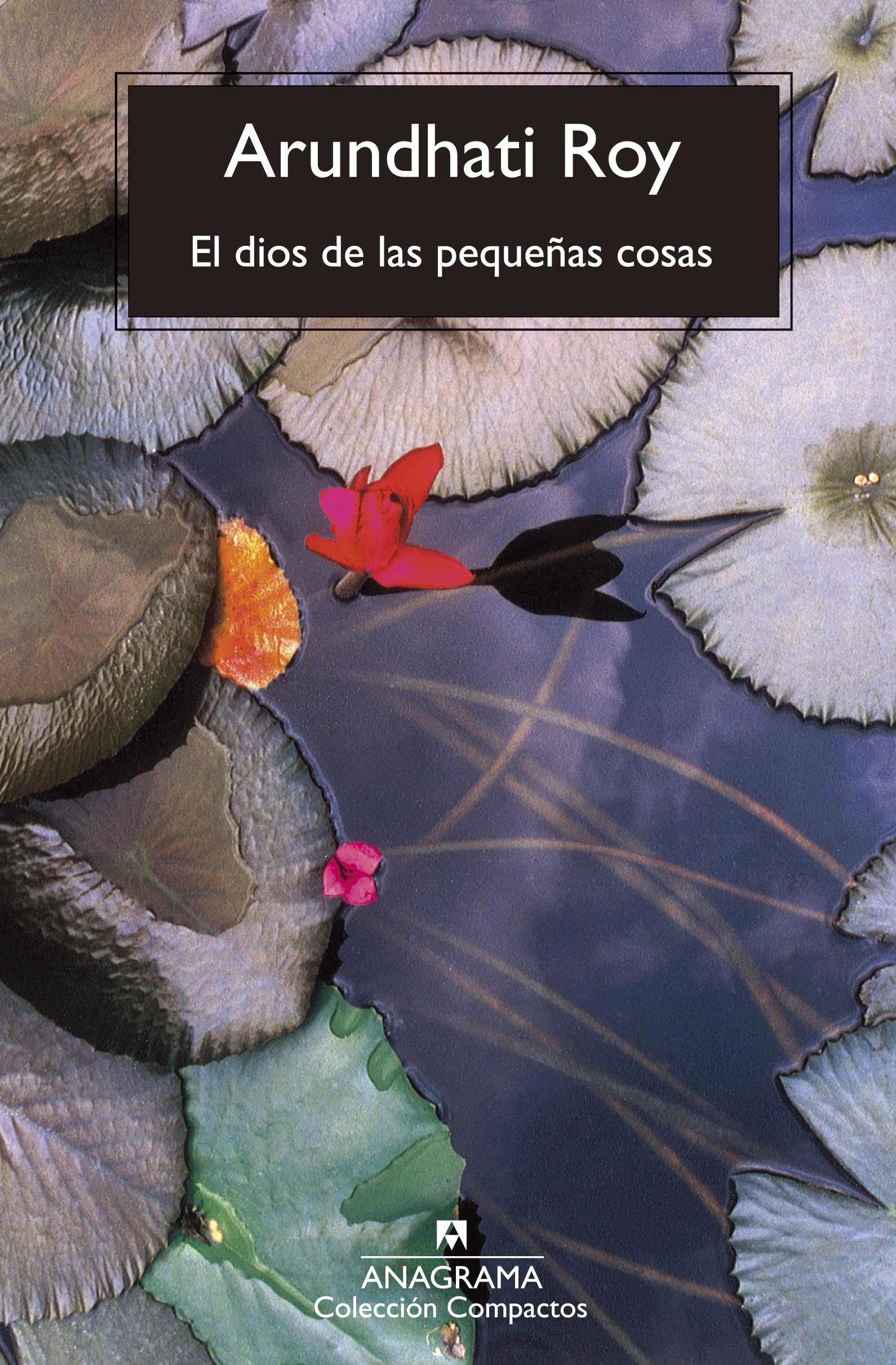 El dios de las pequeñas cosas: 240 (Compactos)