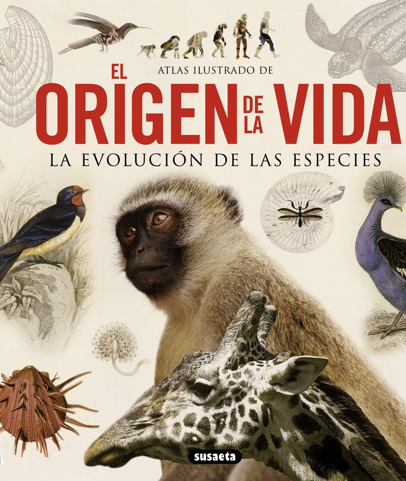 El Origen De La Vida: La evolución de las especies / The Evolution of Species (Atlas Ilustrado)