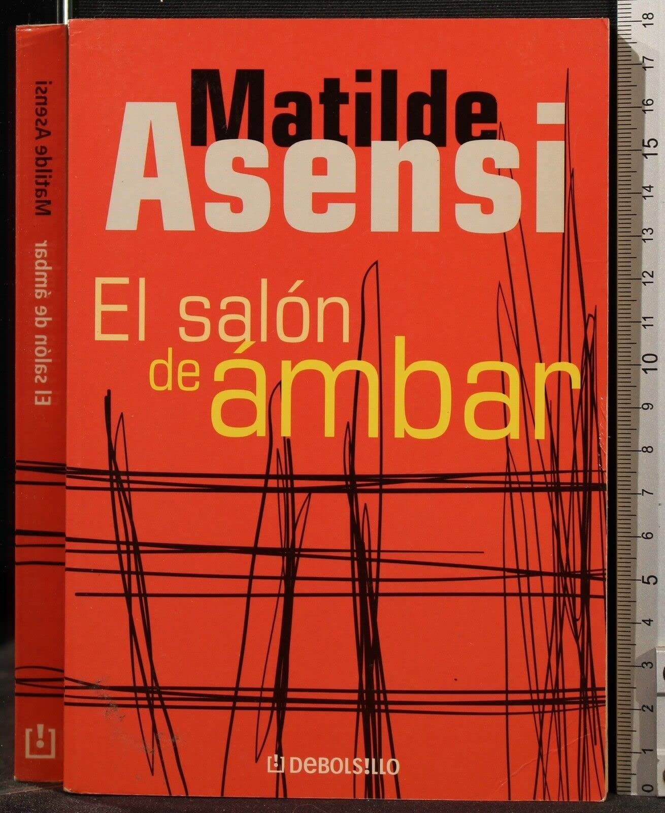 SALON DE AMBAR,EL (DEBOLSILLO)