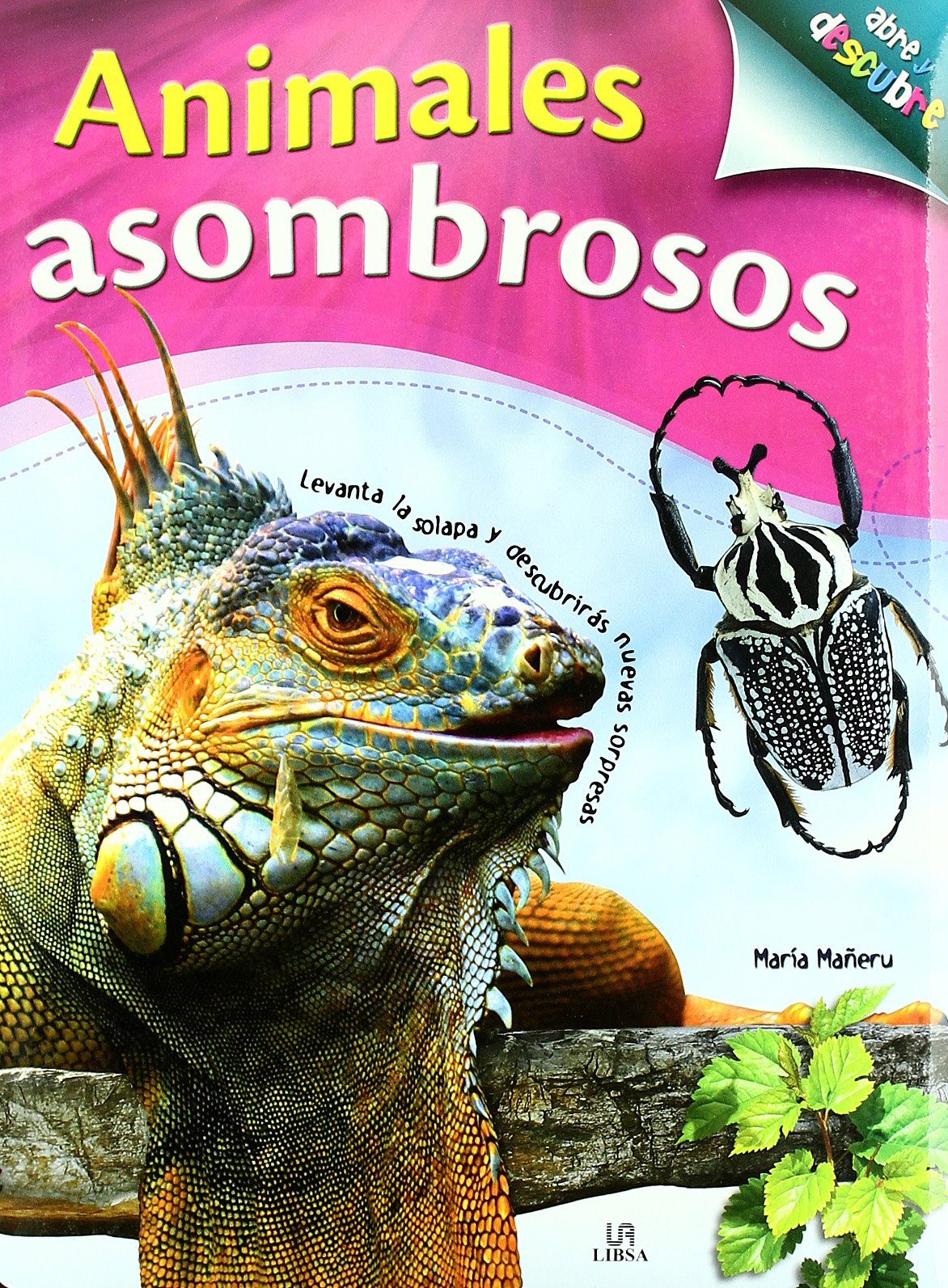 Animales Asombrosos (Abre y Descubre)