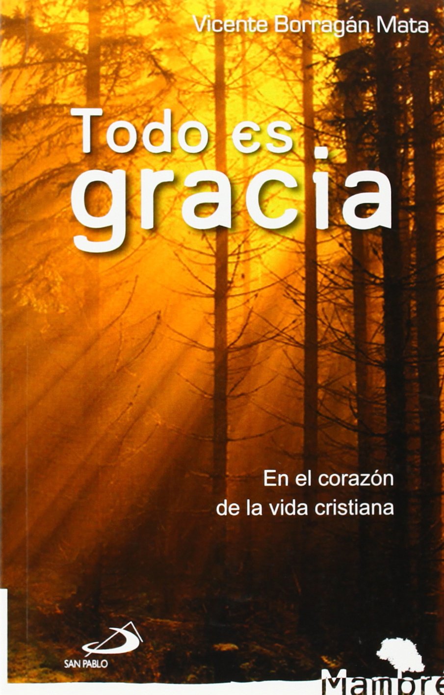 Todo es gracia: En el corazón de la vida cristiana: 8 (Mambré)