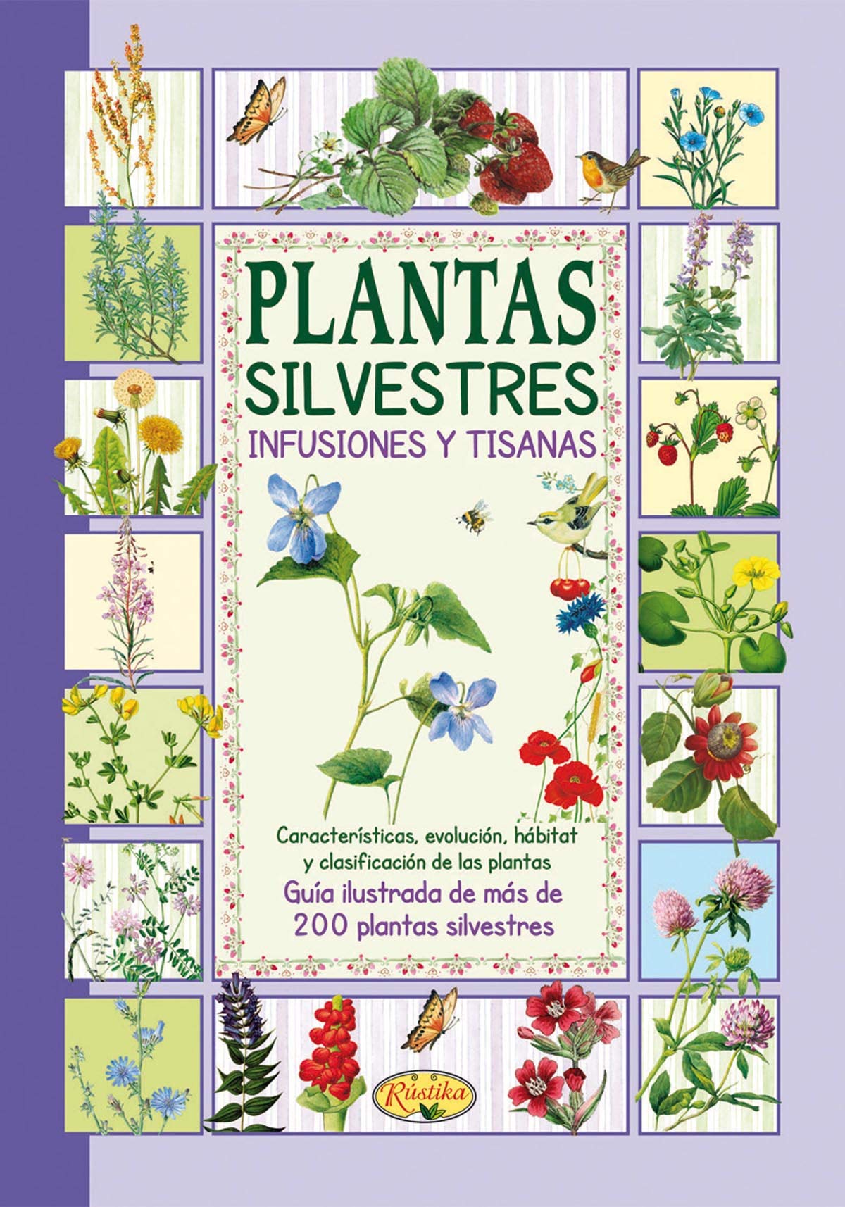 Plantas silvestres, infusiones y tisanas