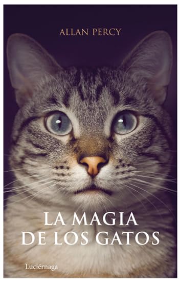 La magia de los gatos: 1 (PRACTICA)