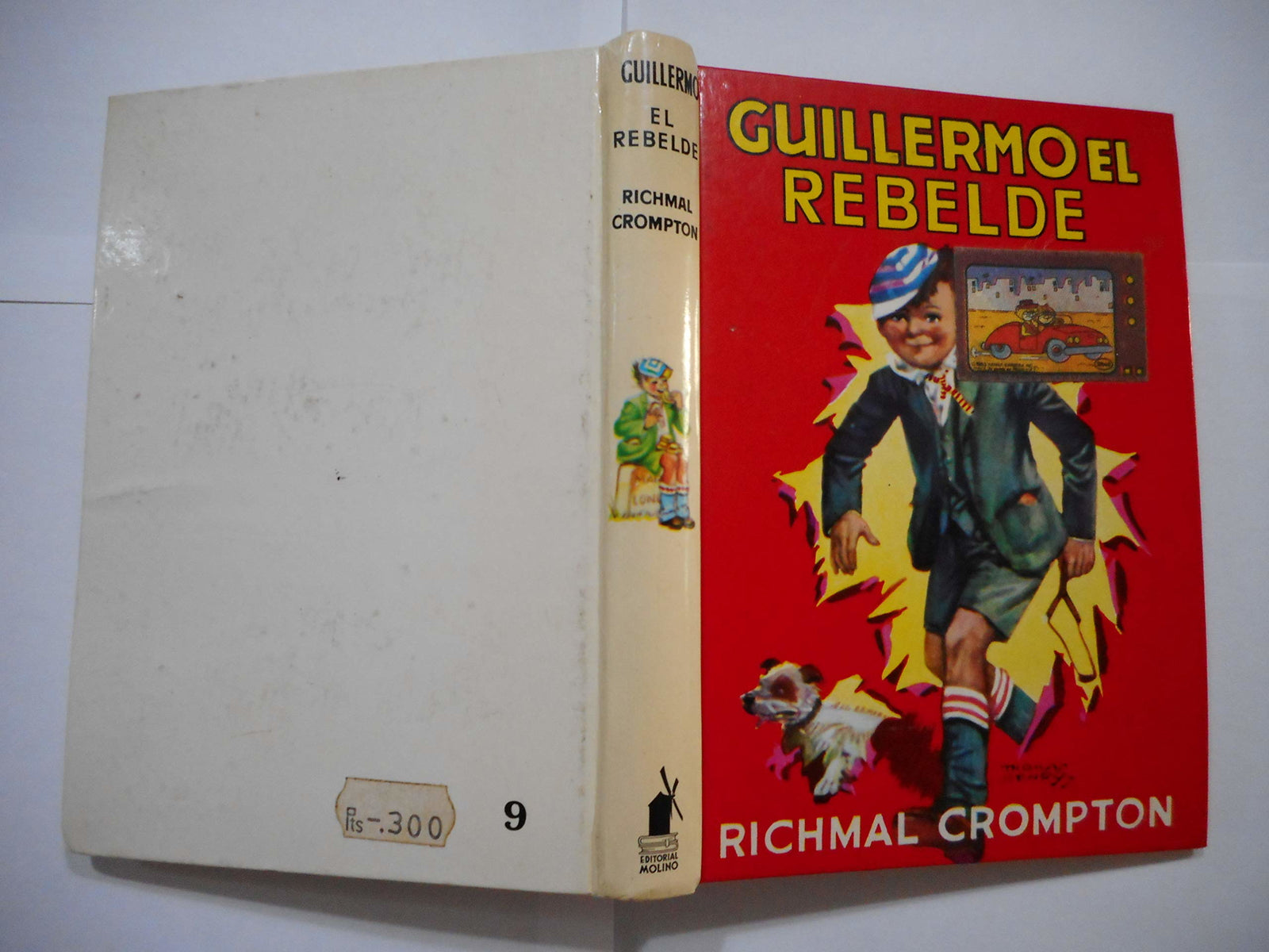 Guillermo el rebelde