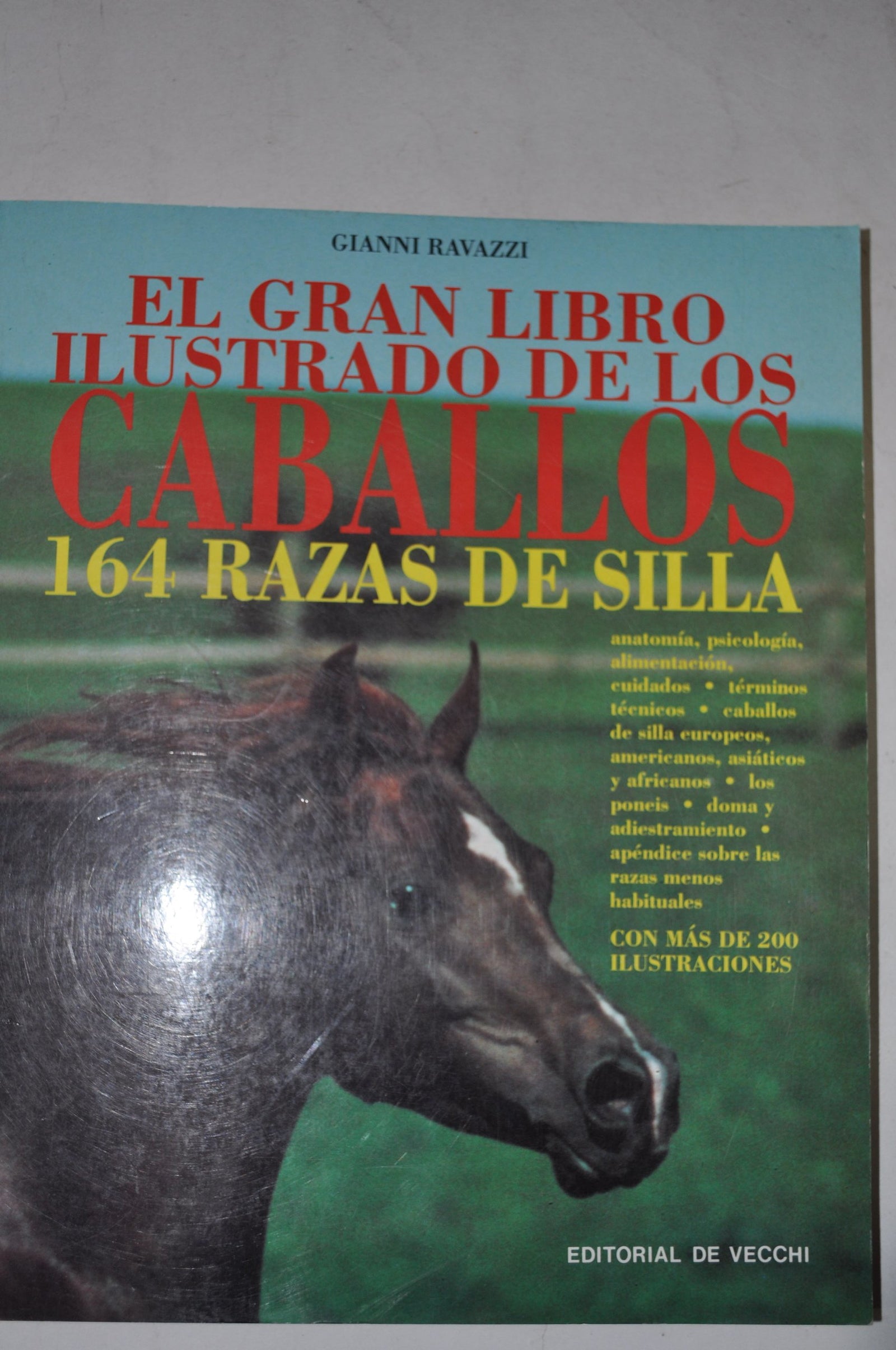 Caballos,gran libro ilustrado