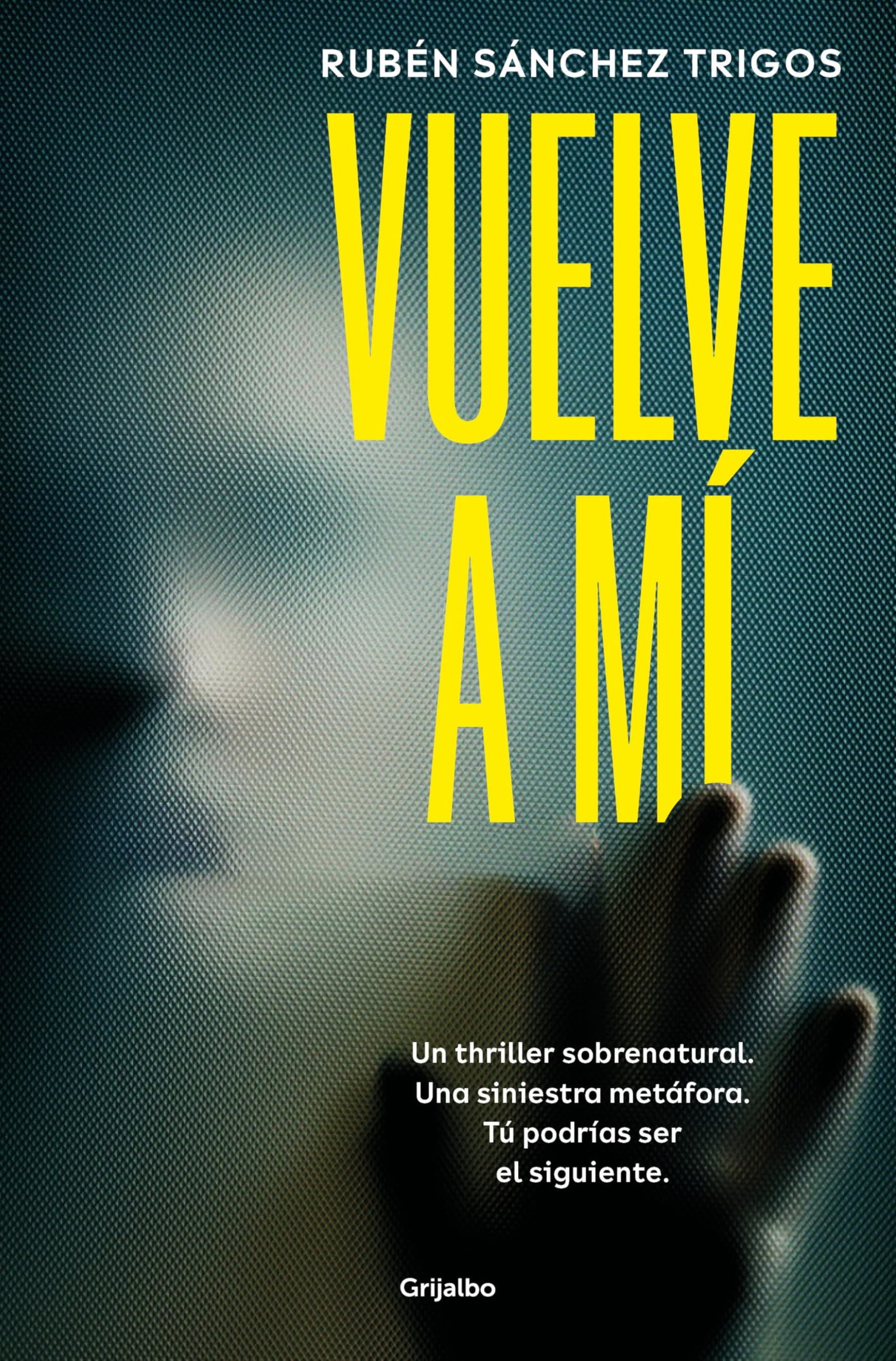 Vuelve a mí (Novela de intriga)