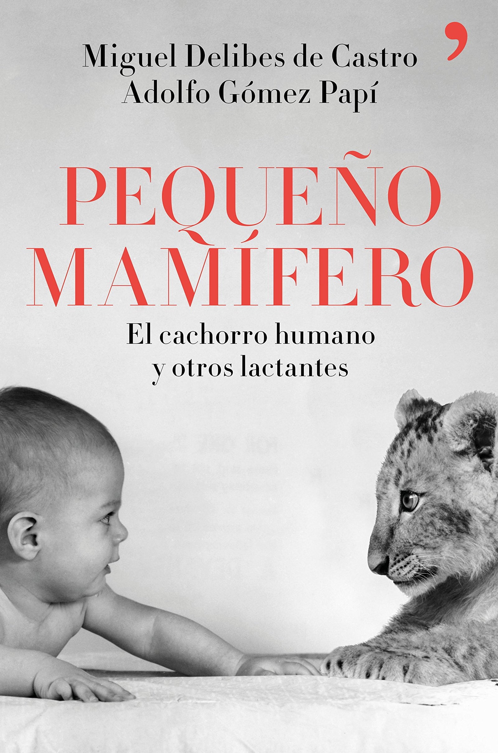 Pequeño mamífero: El cachorro humano y otros lactantes (Fuera de Colección)