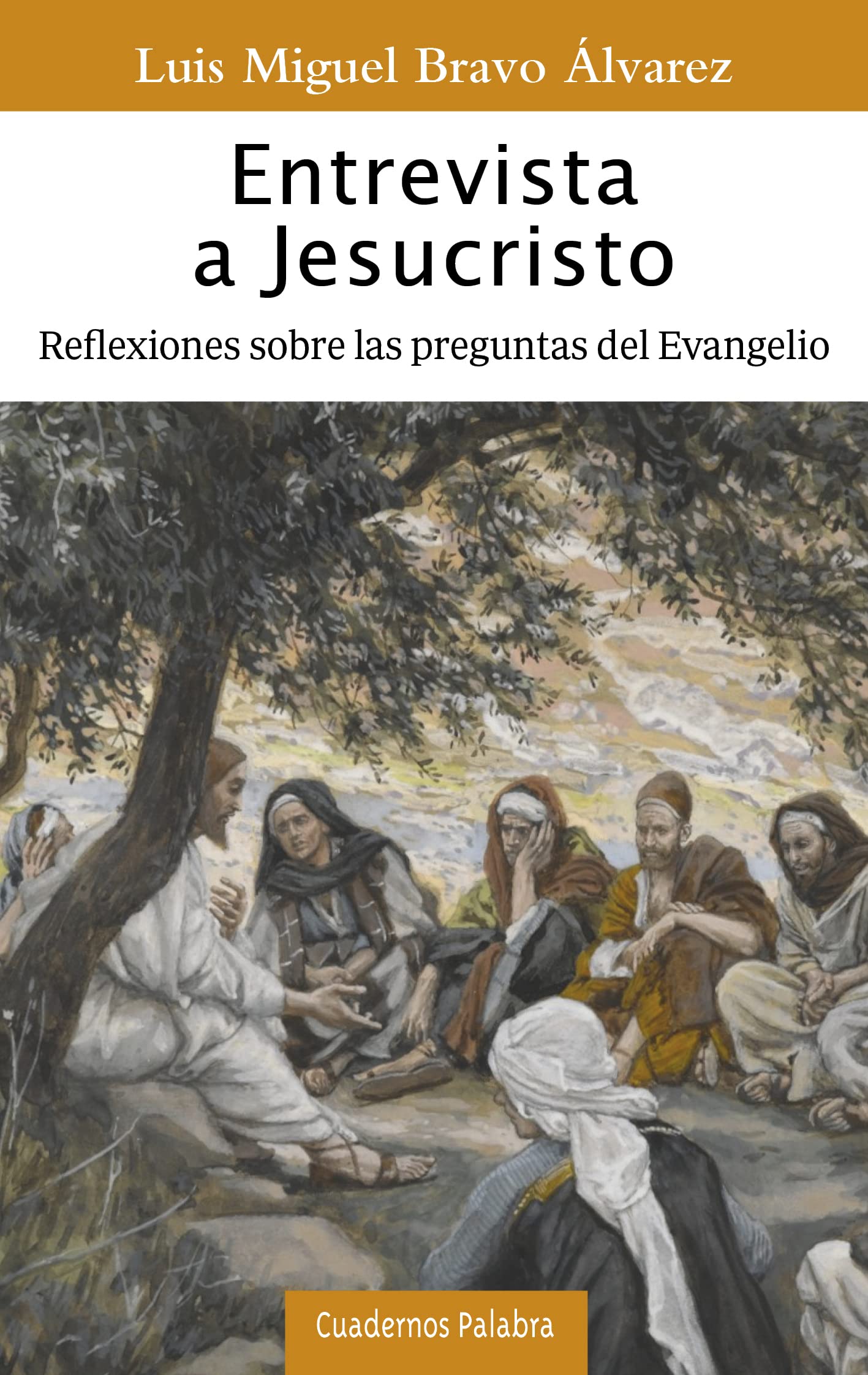 Entrevista a Jesucristo. Reflexiones sobre las preguntas del Evangelio: 195 (Cuadernos Palabra)