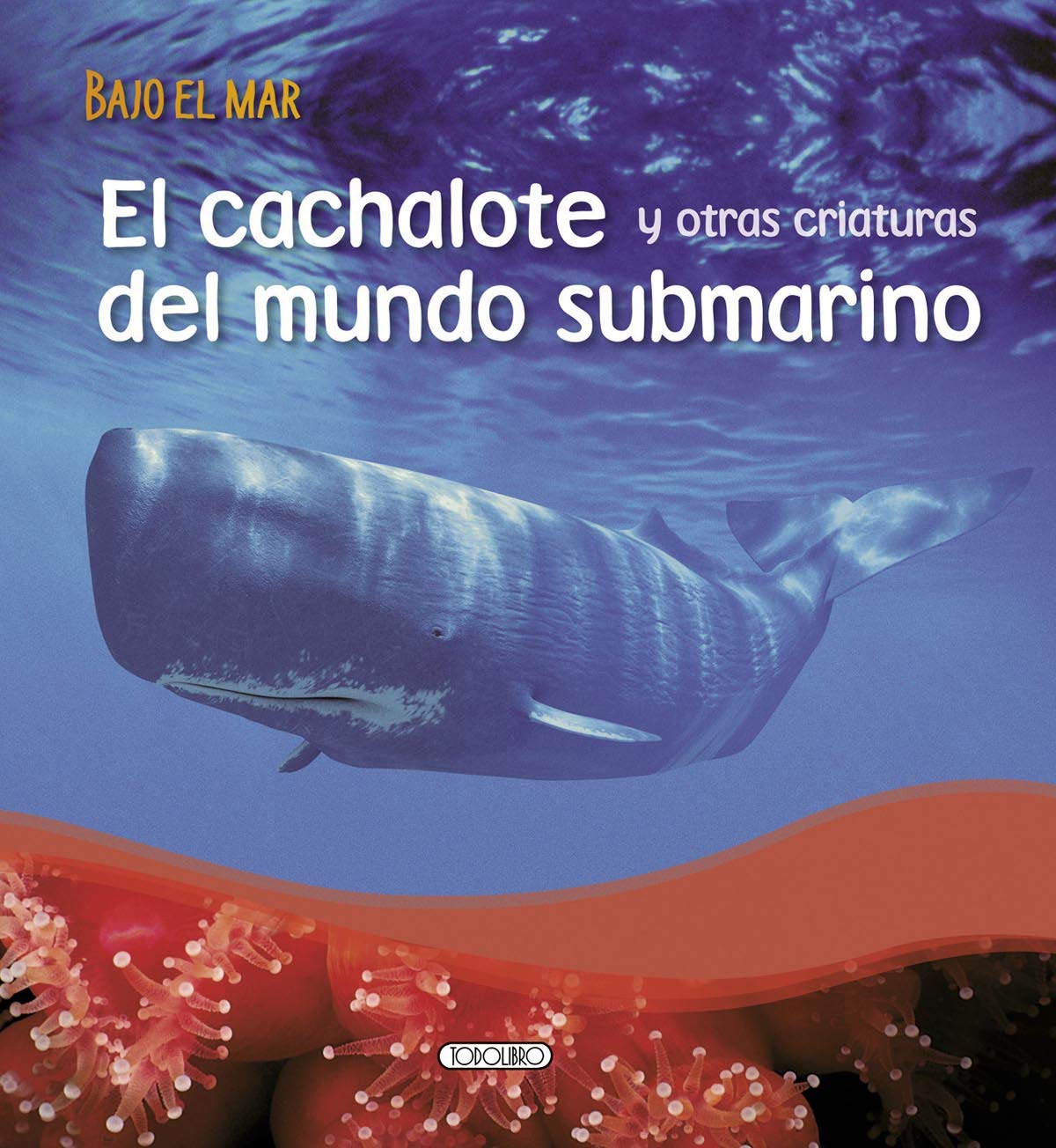 El cachalote y otras aventuras del mundo submarino (Bajo el mar)