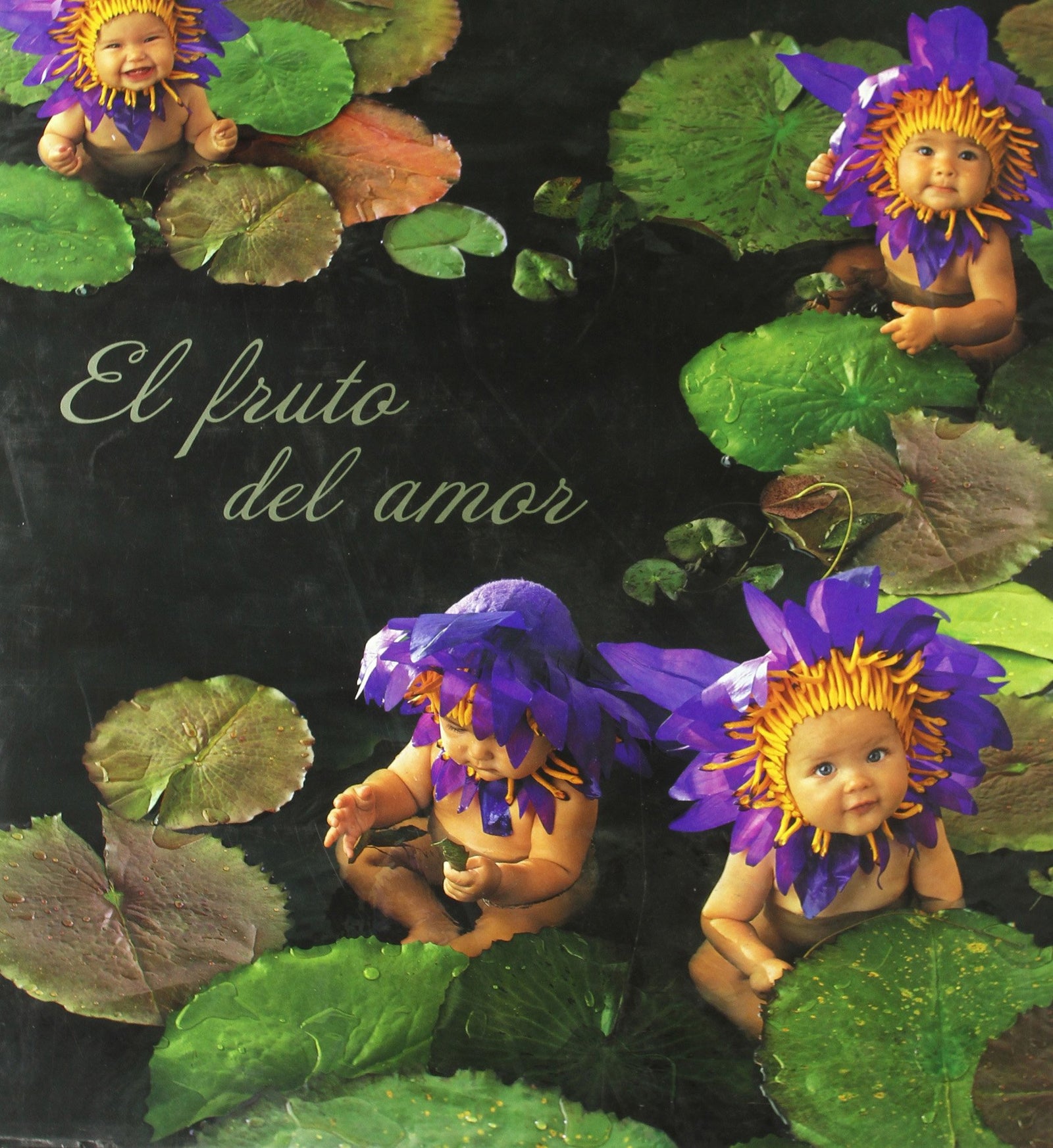 EL FRUTO DEL AMOR: 00000 (ANNE GEDDES)