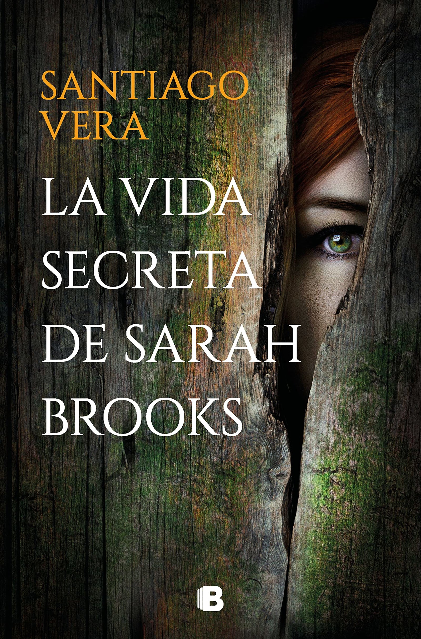 La vida secreta de Sarah Brooks (Trilogía Americana 1) (La Trama)