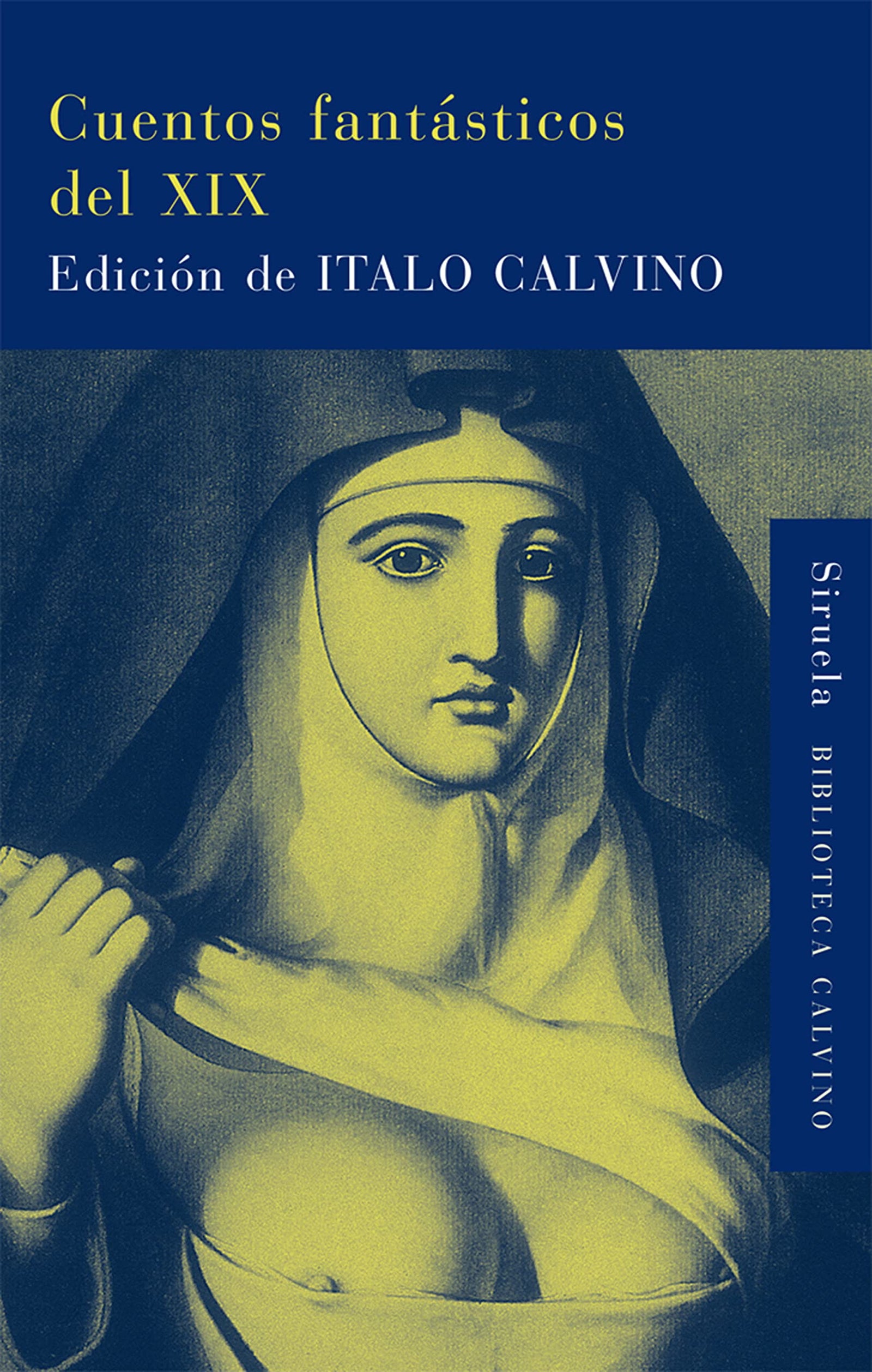 Cuentos fantásticos del XIX: Lo fantástico visionario/Lo fantástico cotidiano: 17 (Biblioteca Italo Calvino)