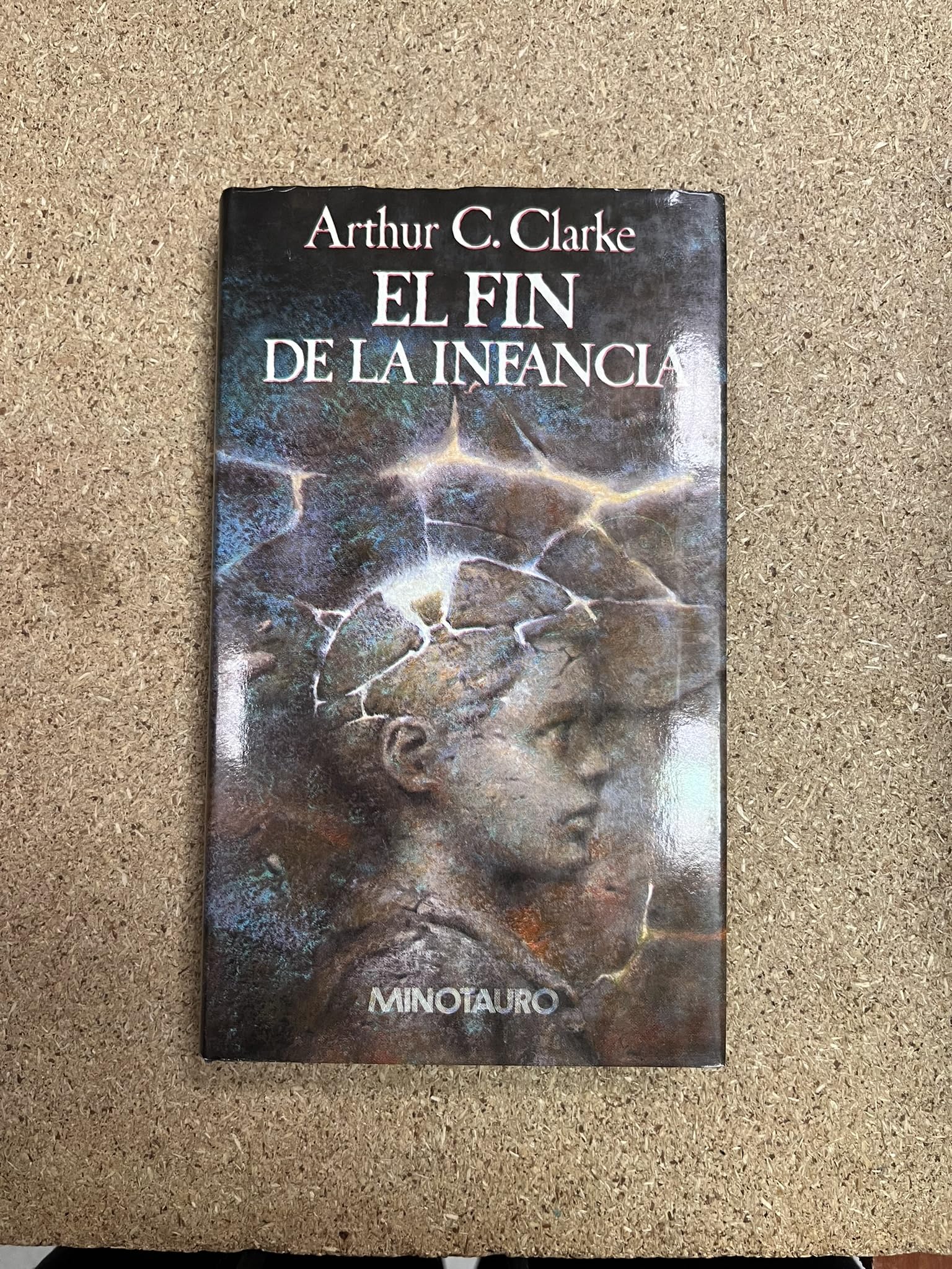 El fin de la infancia