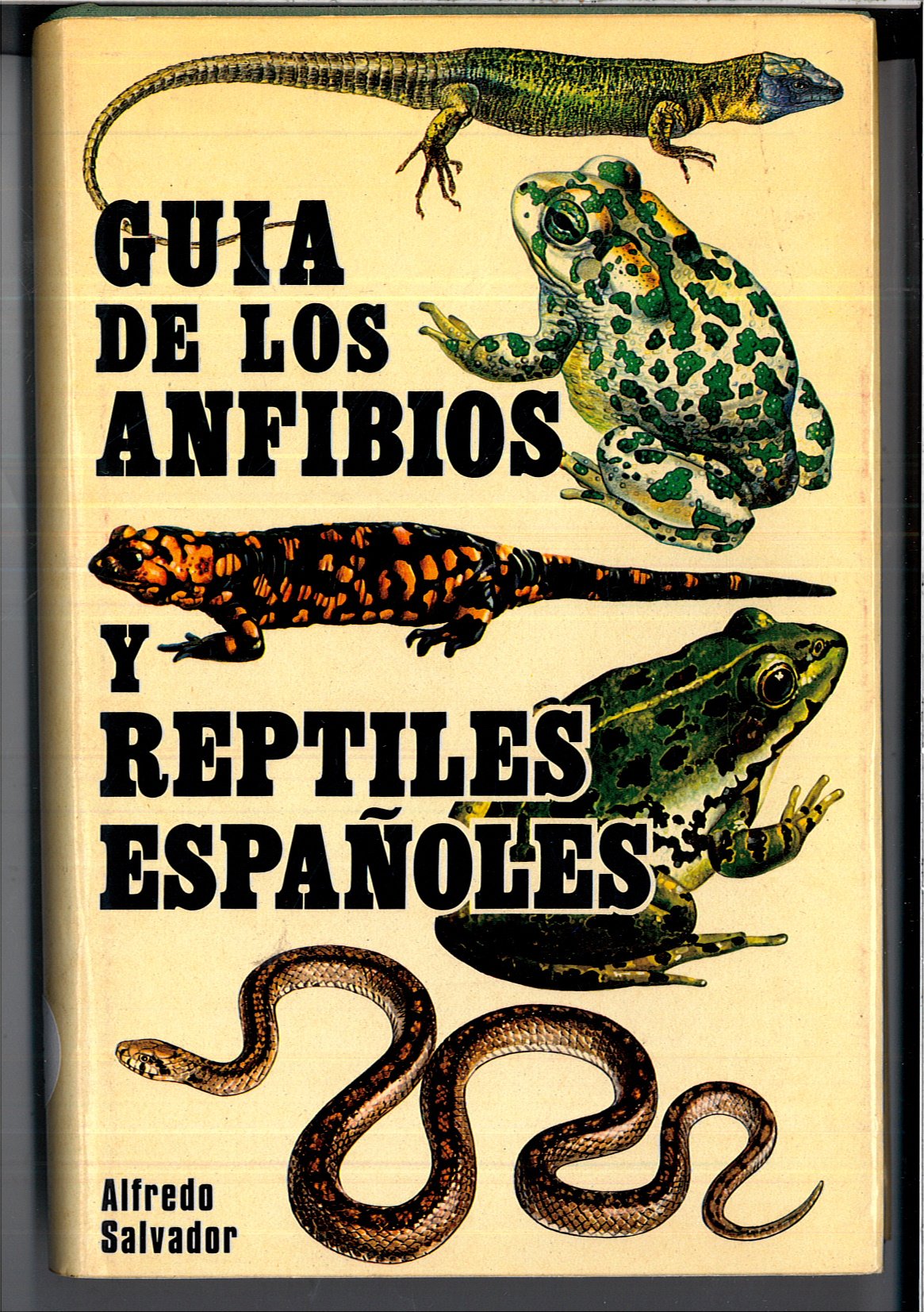 GUIA ANFIBIOS Y REPTILES