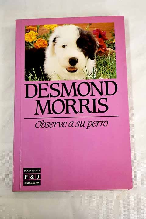 Observe a su perro