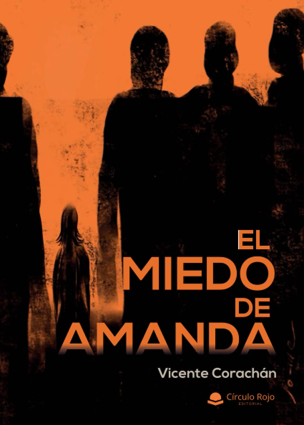 El miedo de Amanda (SIN COLECCION)