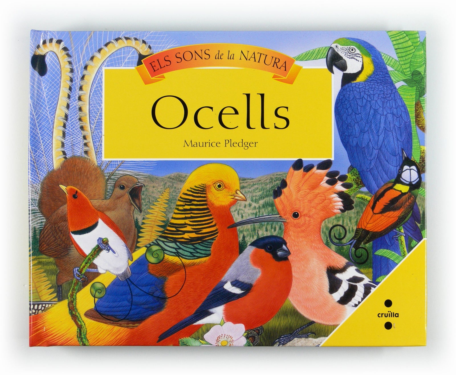 Ocells (El sons de la natura)