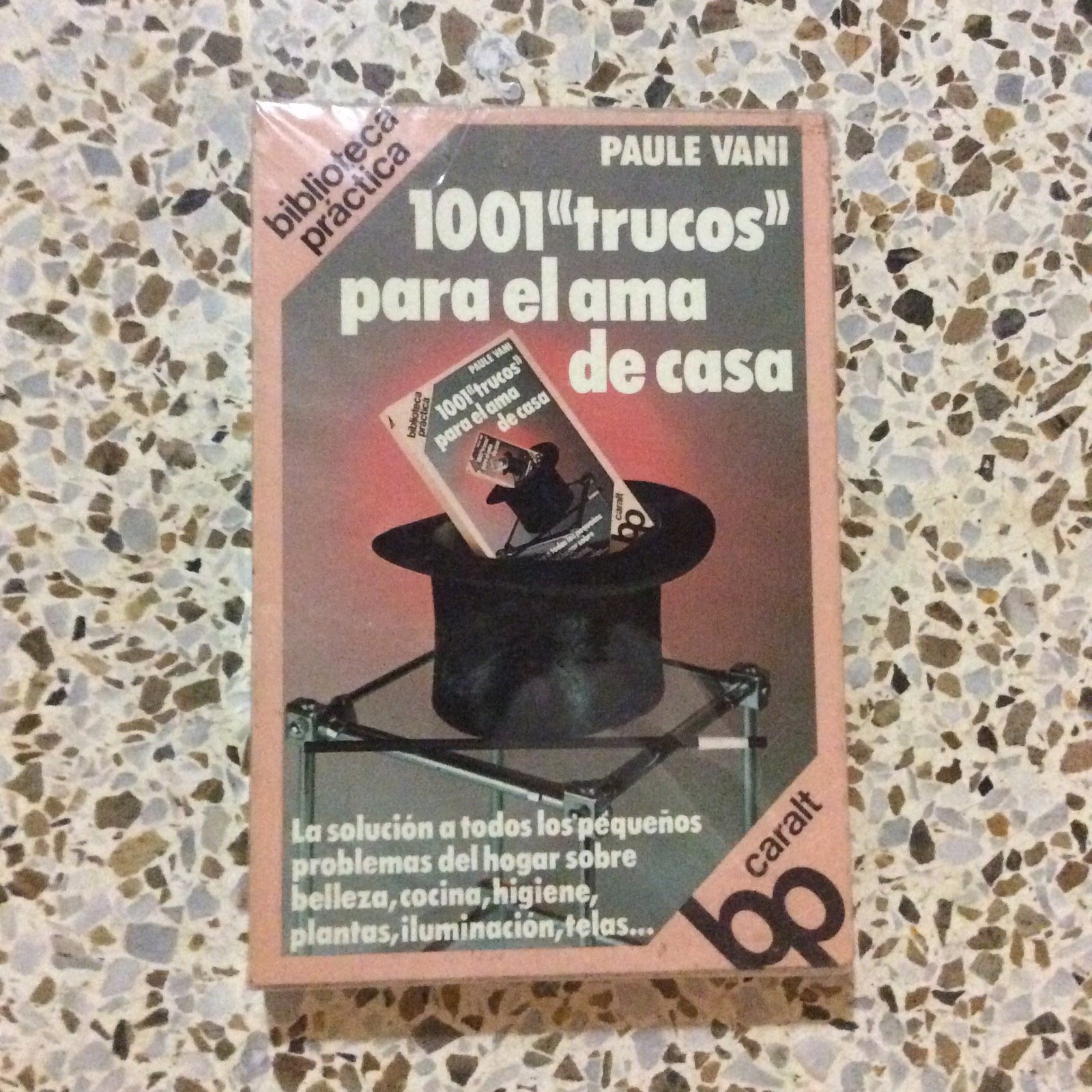 1001 TRUCOS PARA EL AMA DE CASA