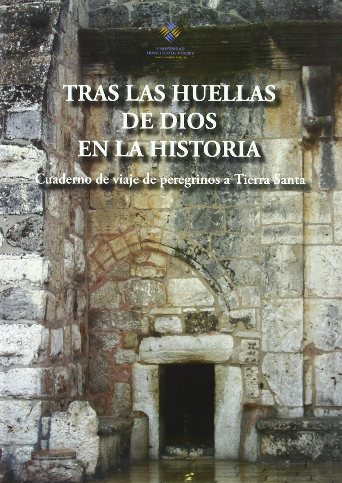 Tras las Huellas de Dios en la Historia: 7 (Instituto John Henry Newman)