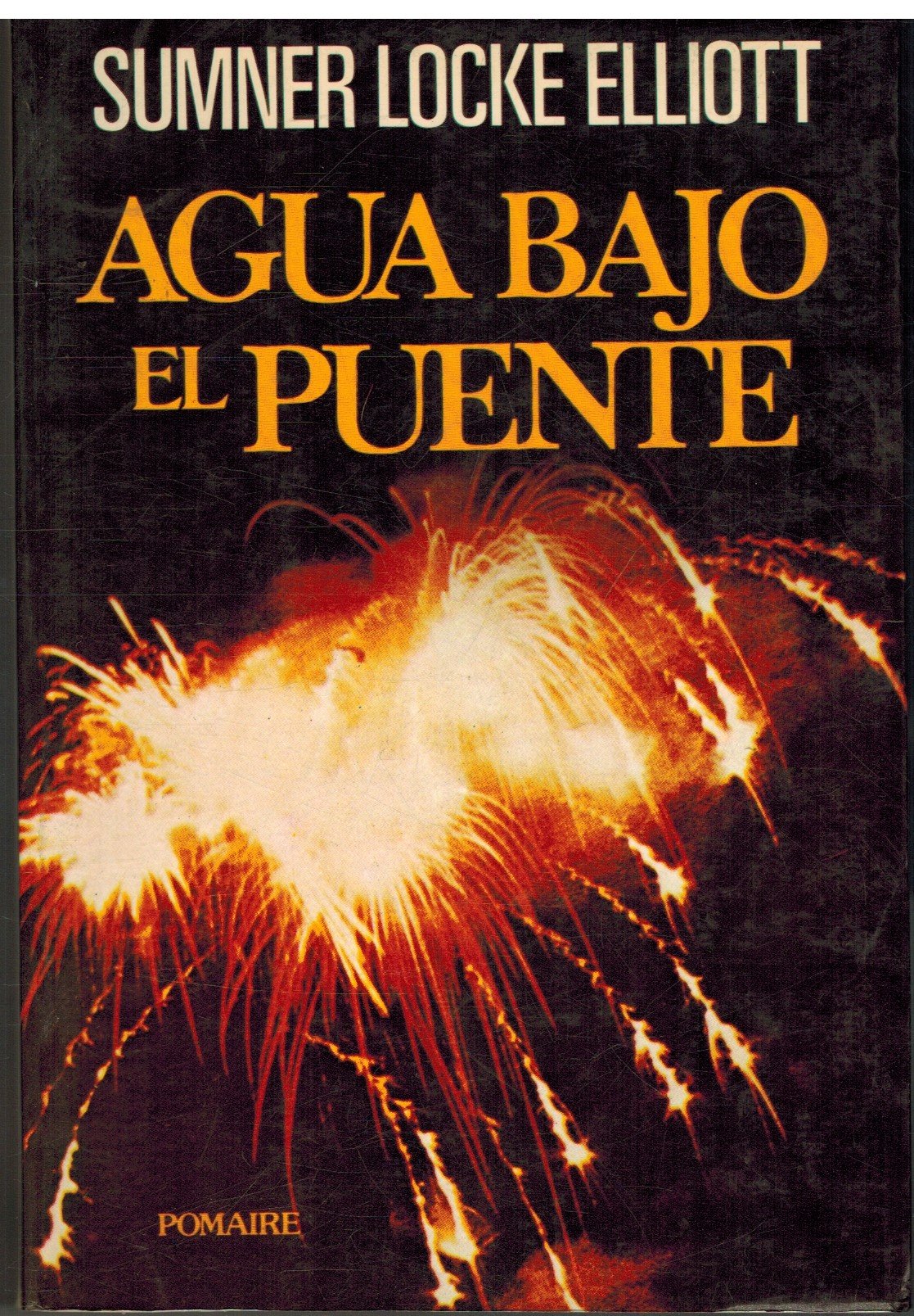 AGUA BAJO EL PUENTE