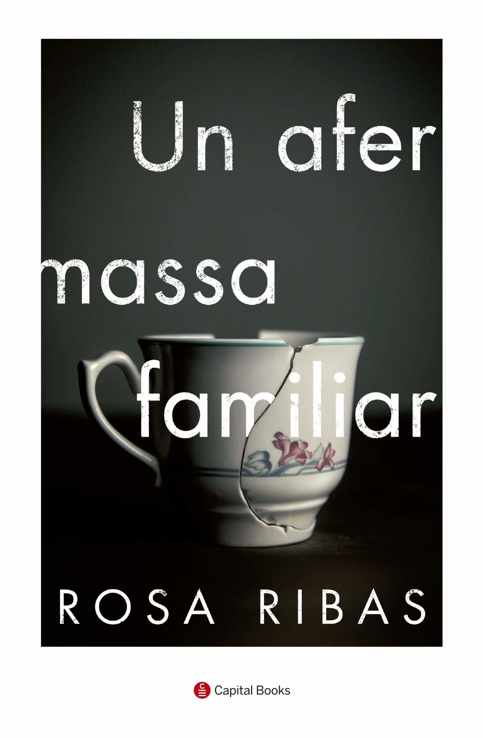 Un Afer Massa Familiar: 16 (Capital Books)