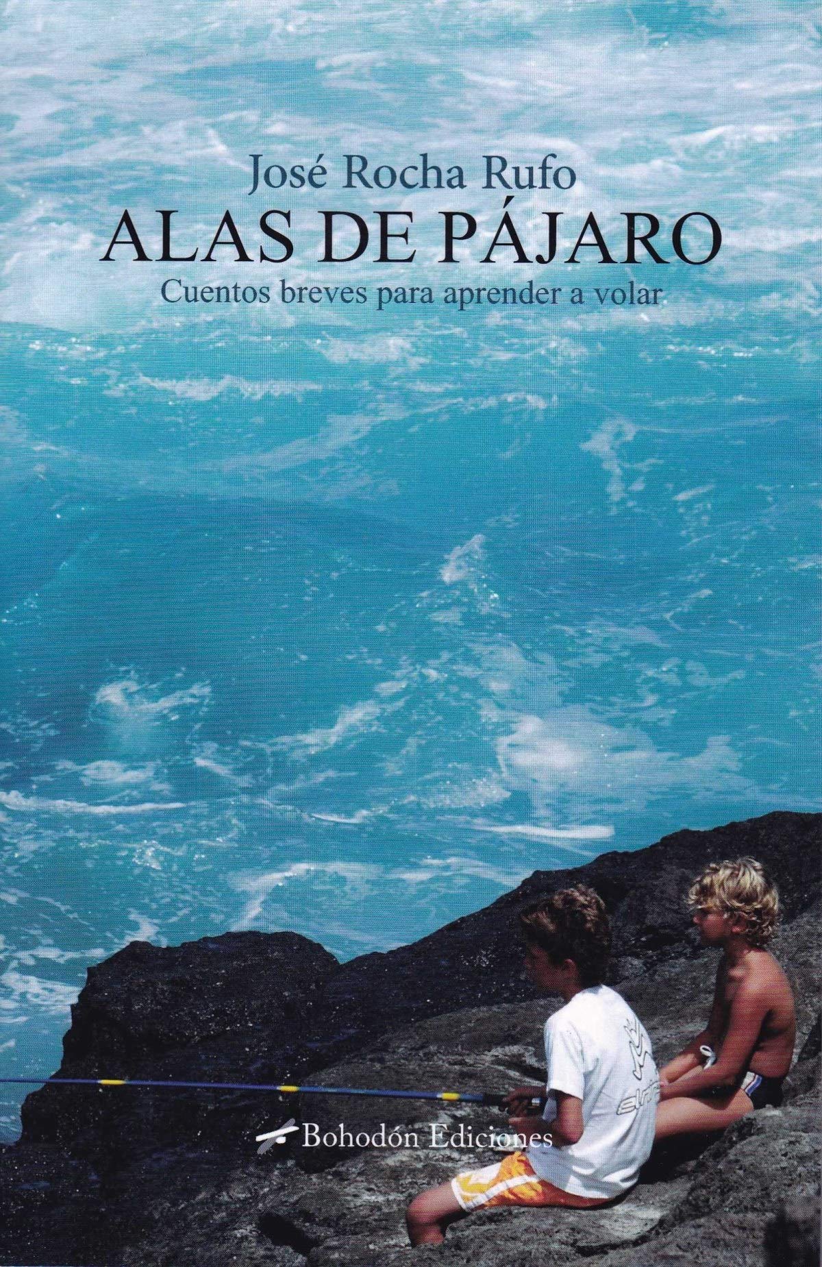 Alas de pájaro (cuentos breves para aprender a volar): 1 (Bohodón Ediciones)