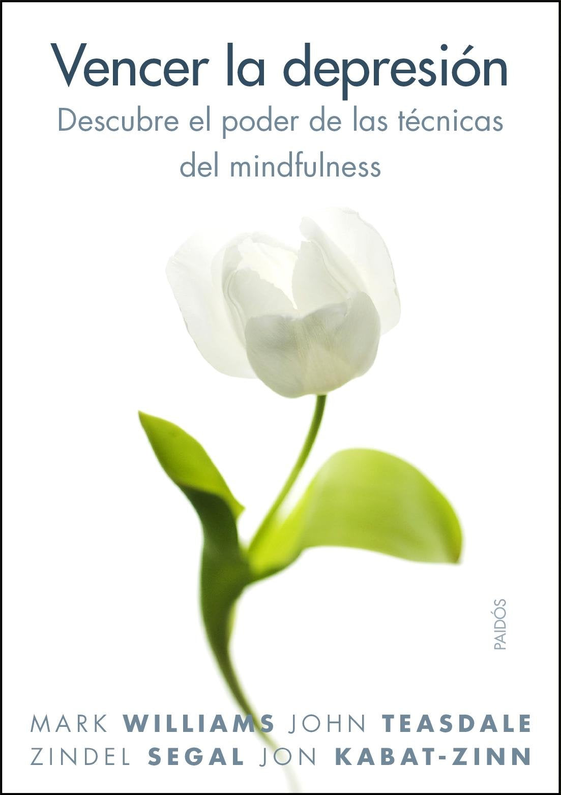 Vencer la depresión: Descubre el poder de las técnicas del mindfulness: 260 (Divulgación)