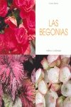 Las begonias