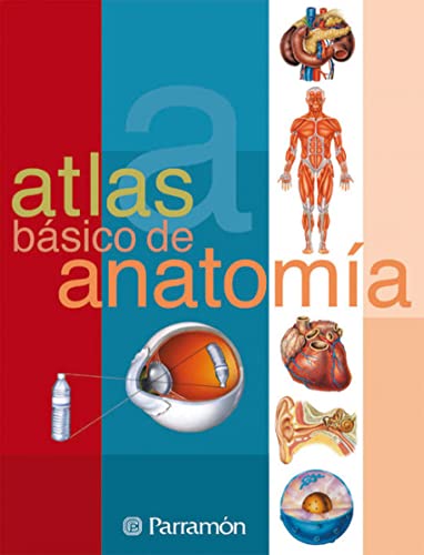 Atlas básico de anatomía (Atlas básicos)